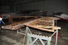 Reconstruction des ailes